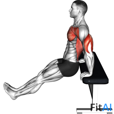 Chest Dip on Bench