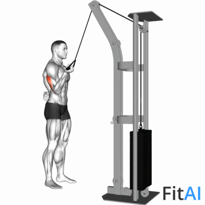 Cable Standing One Arm Triceps Extension
