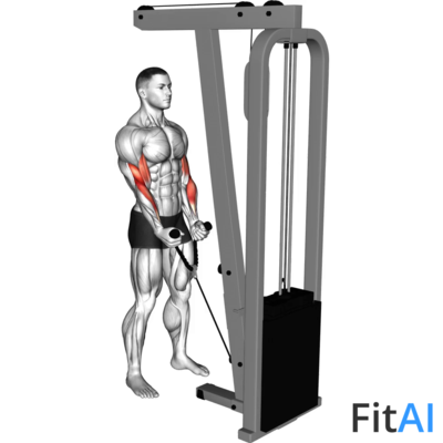 Cable Hammer Curl (Rope)