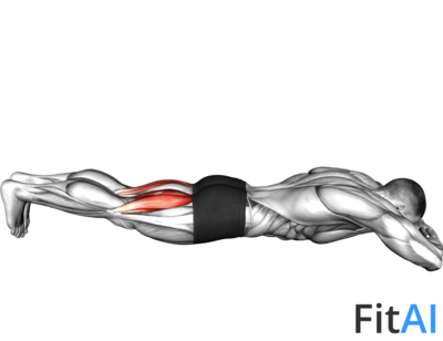 Bodyweight Lying Legs Curl