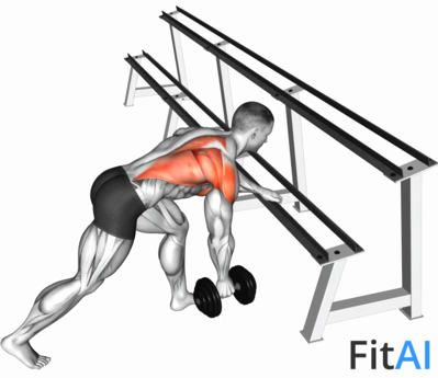 Dumbbell One Arm Row (rack support)