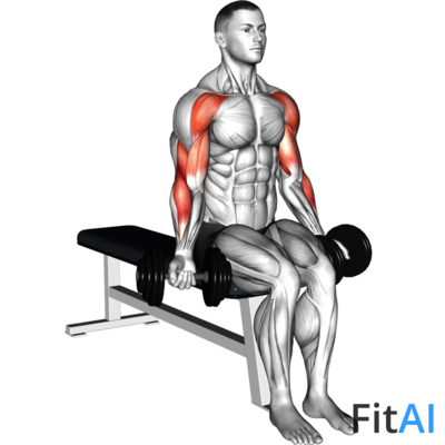 Dumbbell Seated Drag Curl