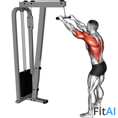 Cable Straight Arm Pulldown