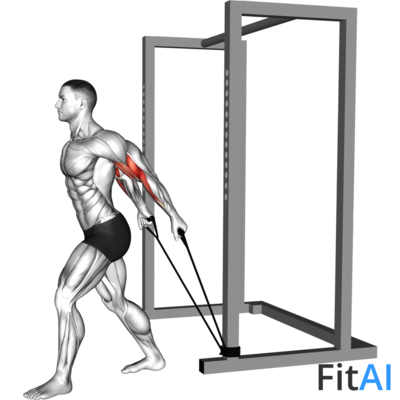 Band 45 Degrees Biceps Curl