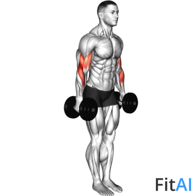 Dumbbell Standing Drag Curl (V2)