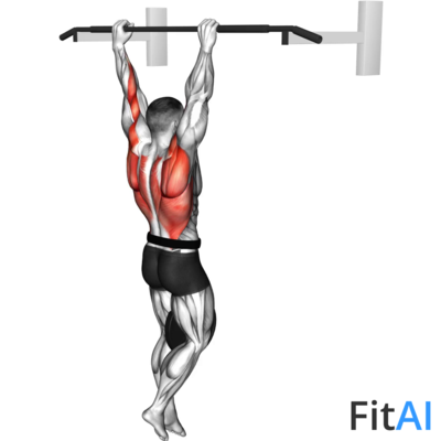 Weighted Pull-up