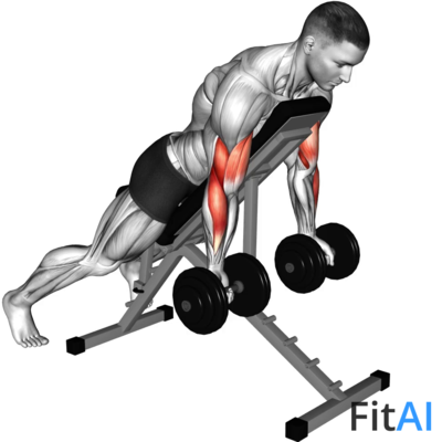 Dumbbell Prone Incline Curl