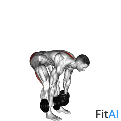 Dumbbell Straight Leg Deadlift