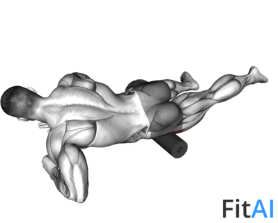 Roll Tensor Fasciae Latae