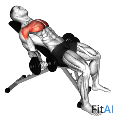 Dumbbell Incline Low Fly