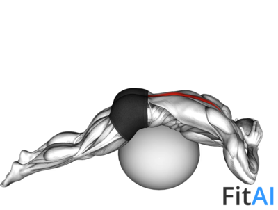 Back Extension on Stability ball
