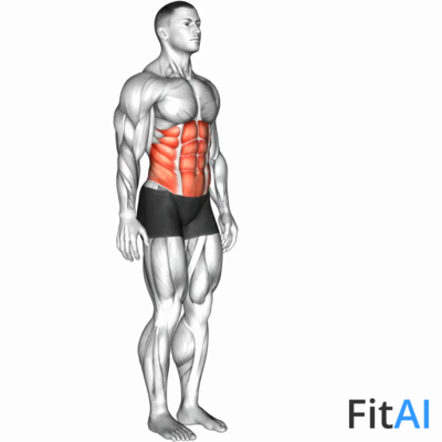 Spine (Lumbar) - Flexion
