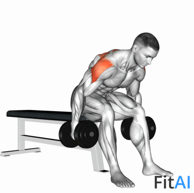 Dumbbell Rear Fly