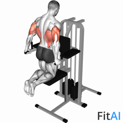 Assisted Triceps Dip (kneeling)