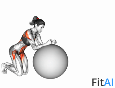 Stability Ball Rollout on Knees