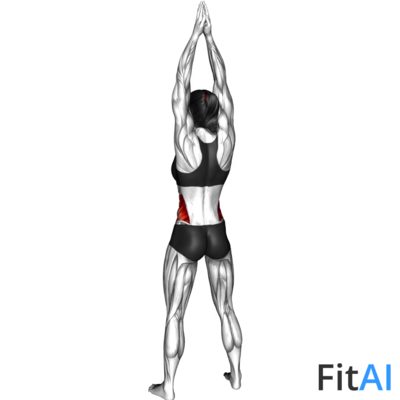 Side Bend Arms Above