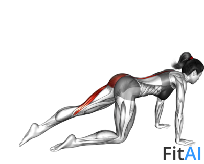 Kneeling Straight Leg Kickback (V2) (left)