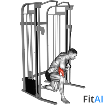 Cable Concentration Extension (on knee)