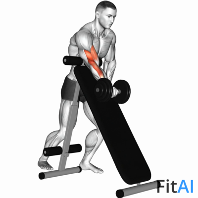 Dumbbell Standing One Arm Curl (over incline bench) v2