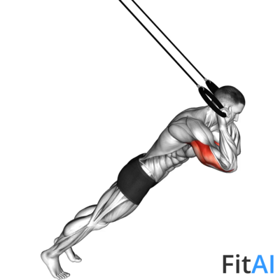 Ring Triceps Extension