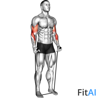 Band Standing Hammer Curl