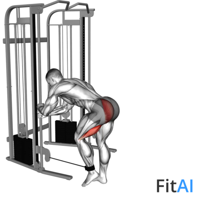 Cable Donkey Kickback