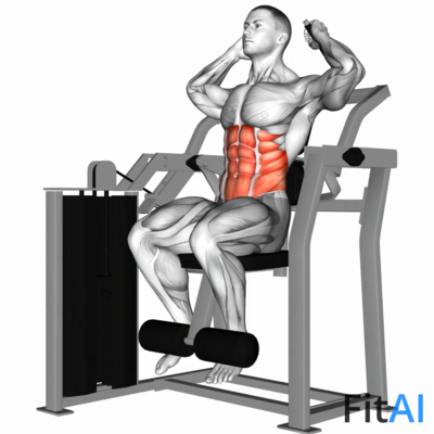 Lever Total Abdominal Crunch