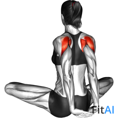 Seated Behind Back Raise