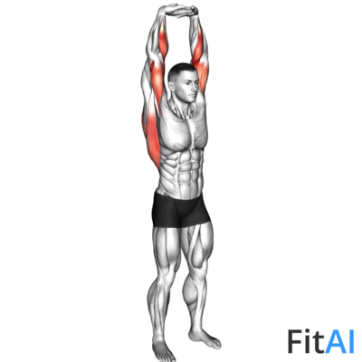 Extension Of Arms In Vertical Stretch