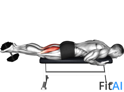 Dumbbell Lying Leg Curl