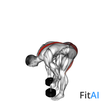 Dumbbell Straight Legs Deadlift