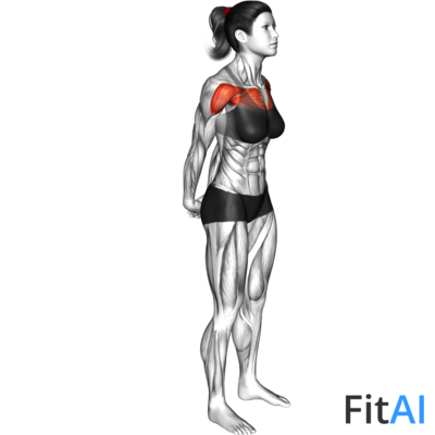 Chest Out Hands Behind (Hold)