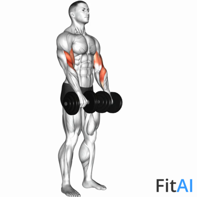 Dumbbell Reverse-Grip Biceps Curl