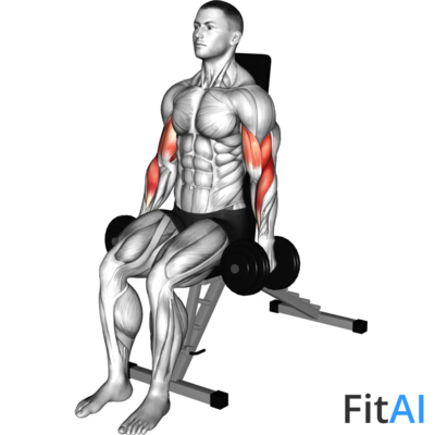 Dumbbell Alternate Seated Hammer Curl