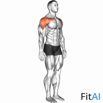 Shoulder - Abduction