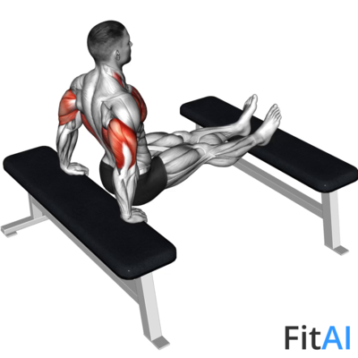 Triceps Dip (bench leg)