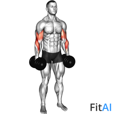 Dumbbell Standing Reverse Curl