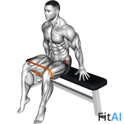 Resistance Band Seated Hip Abduction