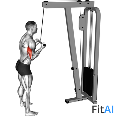 Cable Reverse-grip Pushdown
