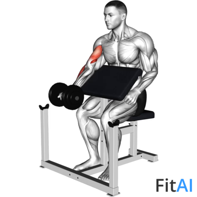 Dumbbell Preacher Curl