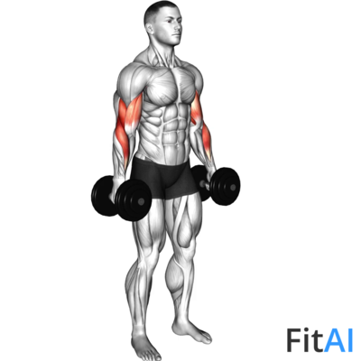 Dumbbell Hammer Curl