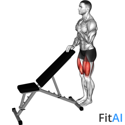 Sissy Squat Bodyweight