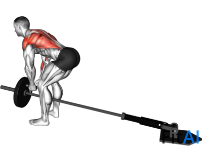 Landmine Bent-Over Row (V-bar) (Plate)