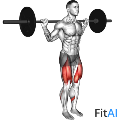 Barbell Narrow Stance Squat