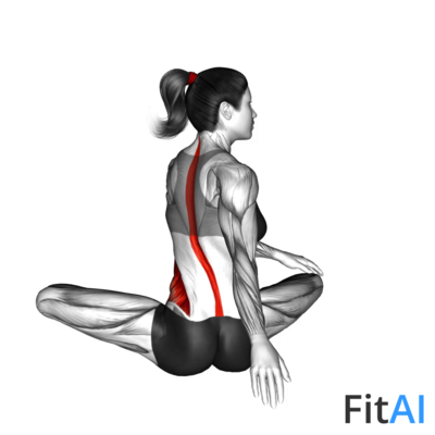 Seated Rotation Stretch
