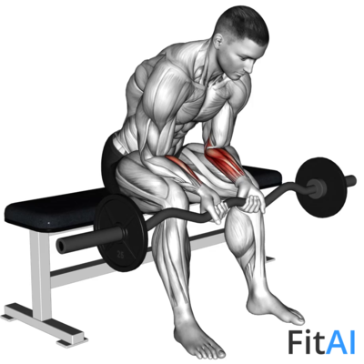 EZ-Bar Seated Wrist Curl