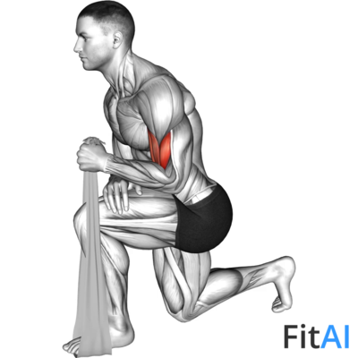 Biceps Squeeze with Towel