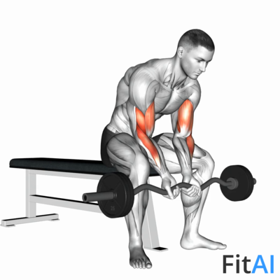 EZ-Bar Seated Close-Grip Concentration Curl