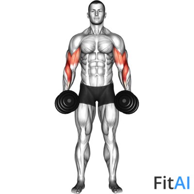 Dumbbell Cross Body Hammer Curl (V2)