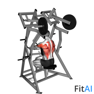 Lever Low Row (Plate)